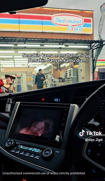 Flashdisk Music for Innova Reborn Vehicles