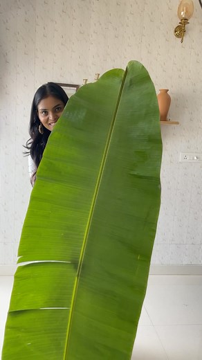 Harika Reddy🪷 on Instagram: "Day 52 of 60 Festive DIYs Magic With Harika 🪷 In today's episode, let's make a grand and welcoming banana leaf toranam for Diwali in just a few minutes. Not only for Diwali you can make it for any festivals, events or housewarming functions, it looks very elegant. On a final note, pls ensure that Fevicol is completely dry before hanging it on the door so that the flowers will not come off while tying or hanging. Save and share the idea ♥️ Follow to get inspiration 