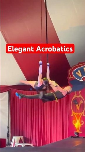 🥰 Duo Acrobatic Elegance 🥰👏 #venardoscircus #short #trending
