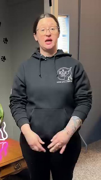 Rescue Cafe is a cozy cafe in Fairhaven with delious coffee! They also donate some of its profits from every sale to local animal shelters! This place is a must try if you love coffee and animals in the south coast. #fairhaven #NewBedford #Acushnet #Fairhavenma #coffeeshop #animalshelter #catcafe | New Bedford Guide