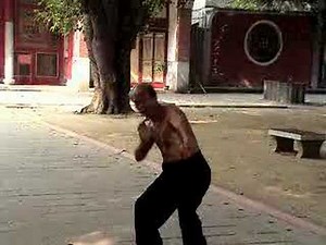 Praying Mantis Kung Fu Hammer Form - Master Shi