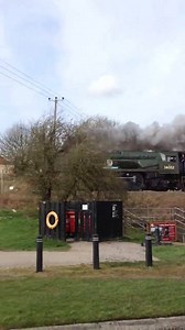 A visitor to Crofton today | Crofton Beam Engines