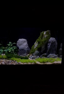 5.3K views · 56 reactions | A complete setup! | Aquadecor | Facebook