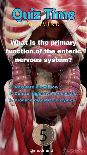 Quiz 24# Ready for a challenge? Take a quiz and see how much you know about ghe digestive system! #DigestiveQuiz #quizdaily #humanbody #DigestiveSystem #BodyKnowledge #medmind #fyp #AnatomyFacts #AnatomyChallenge