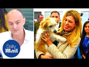 Dominic Cummings on Carrie Symonds: Boris Johnson's fiancee 'went crackers' over story about dog
