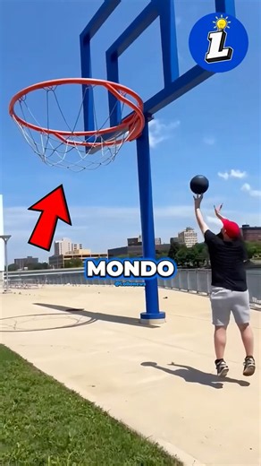 IL CANESTRO più GRANDE DEL BASKET! #basket