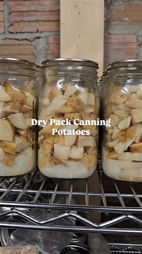 Sean & Katie • Garden to Pantry • Practical Homesteading on Instagram: "We've never looked back since we started dry pack canning our potatoes. Wanna know how? 1) Scrub your potatoes well. This is the crucial step that will remove any toxic spores from contaminating your food. You'll notice that we sometimes leave the skins on. If you're uncomfortable doing this, go ahead & peel them. 2) Cut the potstoes into 1in chunks and then let them sit in lemon water for at least a couple hours. This will
