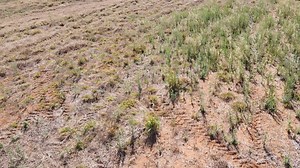 Confira essa demonstração do do WeedSeeker®2 trabalhando com uma barra de 7 metros. WeedSeeker® 2 possui a flexibilidade para ser instalado em qualquer modelo e tamanho de pulverizador. Converse com um de nossos revendedores pelo link na bio. #Trimble #TrimbleAgricultura #Agricultura #WeedSeeker #WeedSeeker2 #PlantasDaninhas | PTx Trimble-Brasil