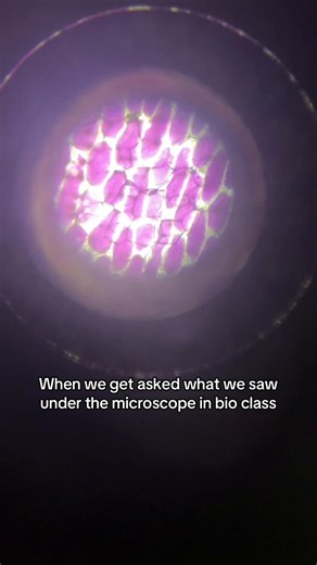 Alien spaceships 😳#fyp #biology #ib