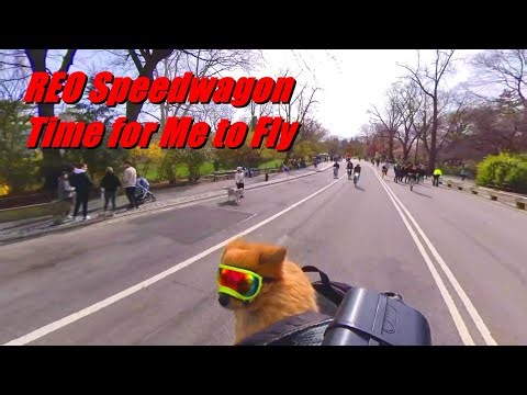REO Speedwagon - Time for Me to Fly | Lyrics