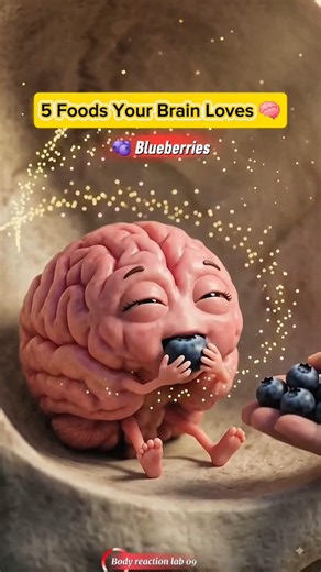 5 Foods Your Brain Loves | Brain Recovery Animation #shorts