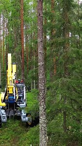 So long tree 🤯 Safe to say, the Mennzi Muck M545x doesn't mess about #forestry #forest #timber #elmia #elmiawood #menzi #menzimuck | Forestry Journal