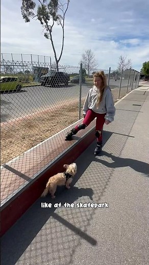 Easy beginner skating tricks to learn! ⭐️ for street, skatepark and progression! #rollerblading