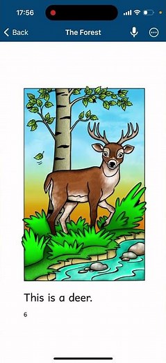 Razkid - Level A - The forest | English reading for kids