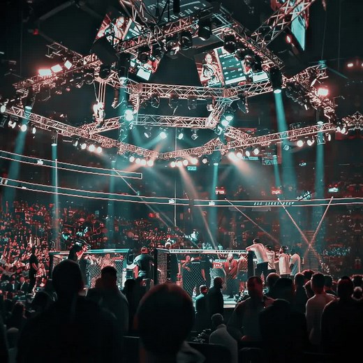 Brazilian juggernaut 🗿 #ufc #ufcedit #fyp #viralvideotiktok #alexpereira #ufc313