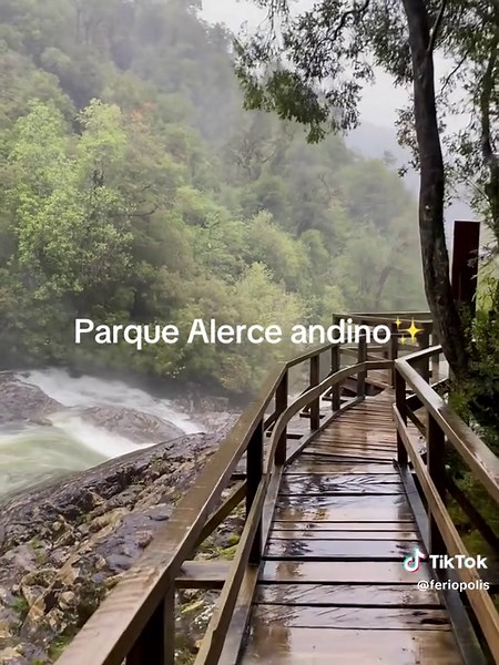 Explora la Belleza del Parque Alerce Andino en Chile