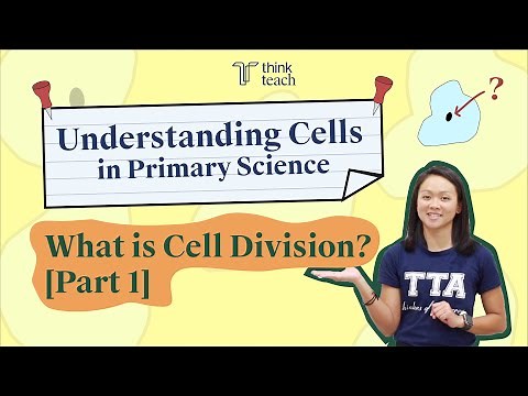 Understanding Cells in Primary Science - What is Cell Division? [Part 1]