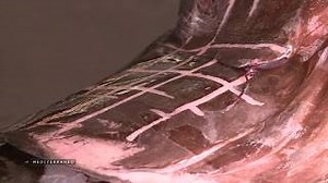 Documentaire | La pêche en méditerranée