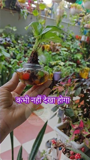 सोच से भी ज्यादा सुंदर बन गया 🥰 #diy #bestoutofwaste