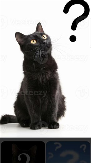 papa ces quoi le code du WiFi yeyeghrkdejjegejejrcrjeergrhzkzlzj3jeheheh3k3kzknz