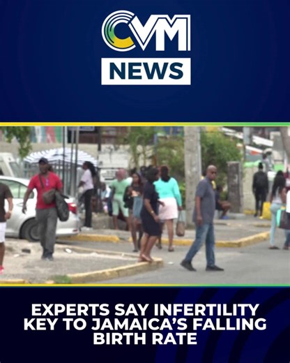 Experts warn infertility is driving Jamaica’s declining birth rate, a factor often overlooked. With the population not replacing itself, economic challenges could follow. Policy makers are being urged to take action. #CVMNews #CVMTV #Jamaica #Fertility #PopulationConcerns | CVM Television