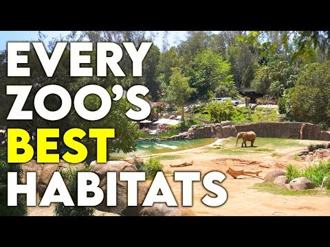 Every Zoo's Best Habitats - PART ONE
