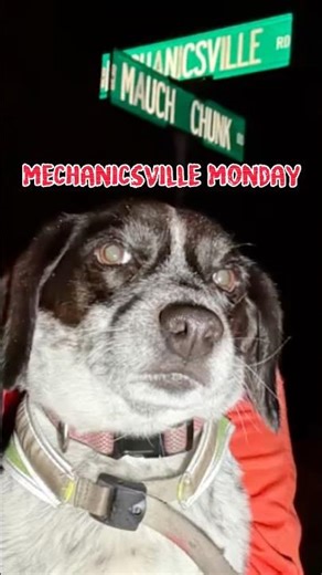 Same Street. Different Day