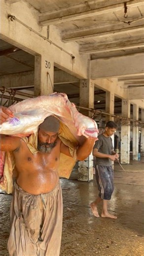 Heavy Duty Beef Processing in Karachi | Professional Slaughterhouse Work | Hardworking Butcher 💪