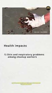 Oil Spills: Causes, Impacts & Prevention Explained