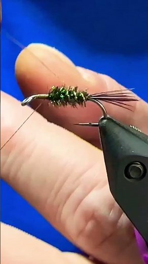 Halfback Nymph Classic Fly Pattern Fly Tying Tutorial