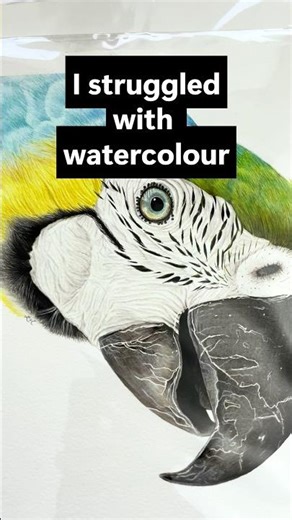 Why I Stopped Using Watercolour