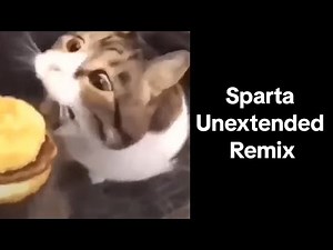 Cheeseburger Cat - Sparta Unextended Remix