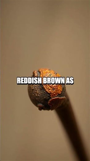 Rust Ranger at Home A Quick Oxidation Demo