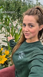 Pollinating courgettes 🌿 #gardentips #courgettes #courgette #flowers #horticulture #heirloom #homegrown #nodig #growyourownfood #organicgardening #chemicalfree #sustainable #grownfromseed #polytunnel #greenhouse #openpollinated | Blooms&Greens by Chloe