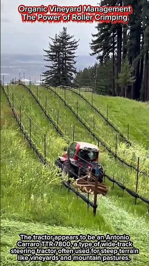 Organic Vineyard Management | The Power of Roller Crimping