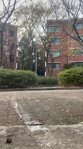 𝐍𝐠𝐮𝐲𝐞𝐧 𝐇𝐨𝐚𝐧𝐠 𝐋𝐨𝐧𝐠'𝐬 𝐏𝐎𝐒𝐓𝐄𝐂𝐇 𝐀𝐝𝐯𝐞𝐧𝐭𝐮𝐫𝐞: 𝐀 𝐃𝐚𝐲 𝐢𝐧 𝐭𝐡𝐞 𝐋𝐢𝐟𝐞 𝐨𝐟 𝐚 𝐕𝐢𝐧𝐔𝐧𝐢 𝐄𝐱𝐜𝐡𝐚𝐧𝐠𝐞 𝐒𝐭𝐮𝐝𝐞𝐧𝐭 🇰🇷 Nguyen Hoang Long, a junior from the College of Engineering and Computer Science (CECS), is currently living his dream as an exchange student at Pohang University of Science and Technology (POSTECH) in South Korea this Fall. In his recent vlog, Long takes us through a typical day at POSTECH, showcasing not only the rigorous academics and 