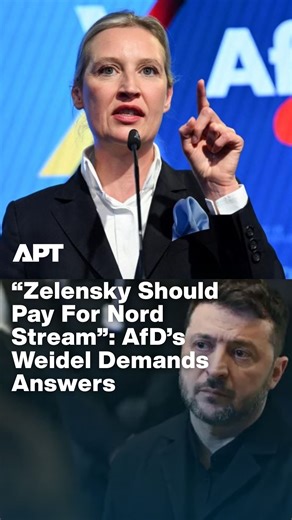APT News | AfD co-chair Alice Weidel has launched a furious attack on Ukrainian President Volodymyr Zelensky, accusing him of being directly... | Instagram