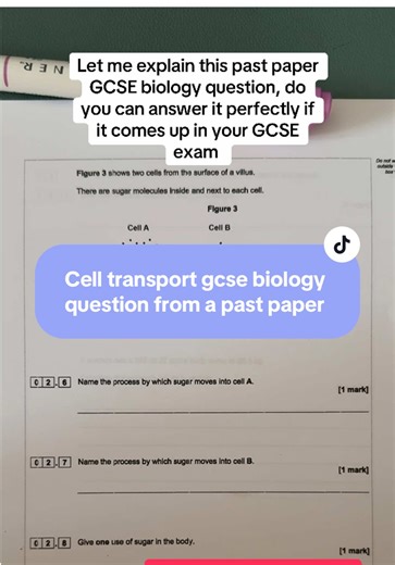 Mastering Cell Transport for Your GCSE Biology Exam
