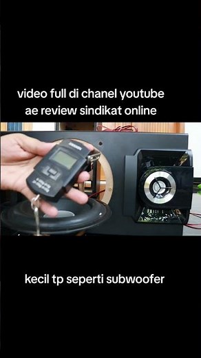 Polytron PAS 8E10 speaker turns out to have a small magnet but is like a powerful subwoofer
