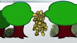 Dispersal in Ecology | Definition, Mechanisms & Example - Video | Study.com
