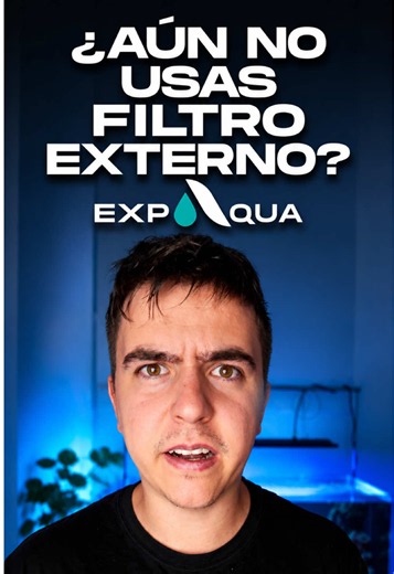 Filtro externo para acuarios: por qué elegirlo y cuándo evitarlo