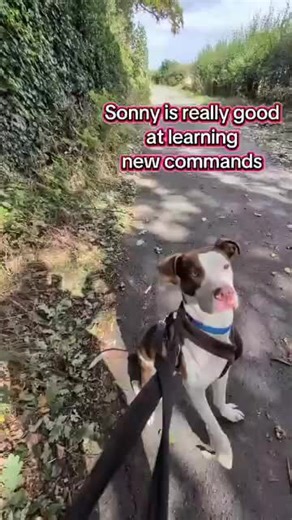 Freshfields Animal Rescue (@freshfieldsanimalrescue)’s videos with Young at Heart - The Bluebells