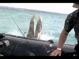 Recon Marines Splash Down in Okinawa