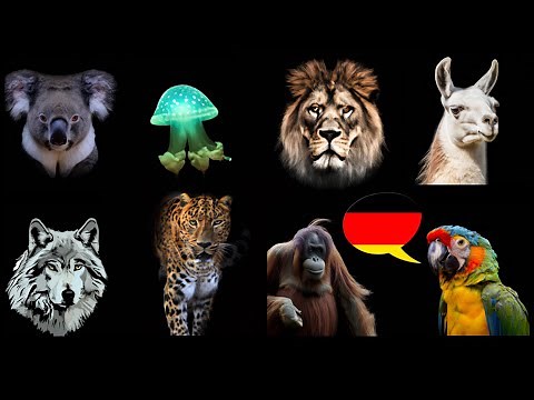 Learn German: What are the animals called in German?