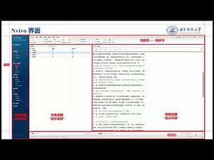 nvivo极简教程 一小时快速上手nvivo