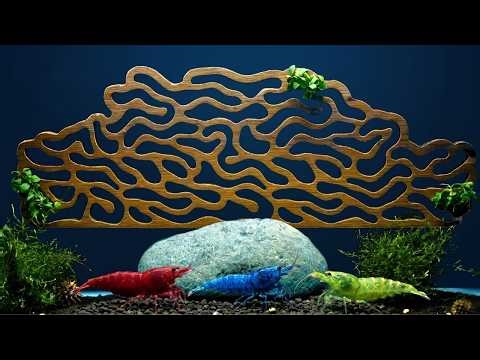 This Wood Has An Advantage Underwater