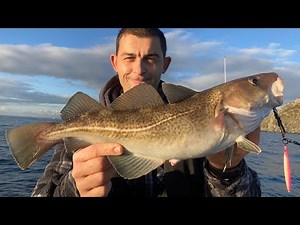 Winter Fishing for Cod, Bass and Pollack with Lures - Sea Fishing UK 2020