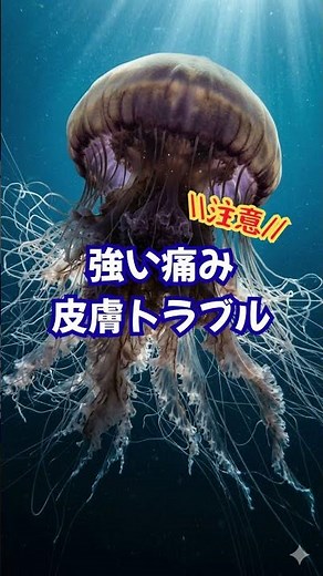 触ると危険!でも食べられる巨大クラゲ #海の雑学 #エチゼンクラゲ #生き物雑学