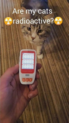Are my cats radioactive? Lets find out. #cats #nuclear #fallout