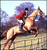 The perfect hunt horse - Horse & Hound